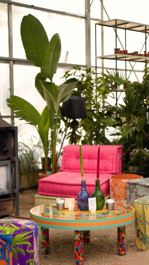 Noccasa | Partnerships & Experience Venues