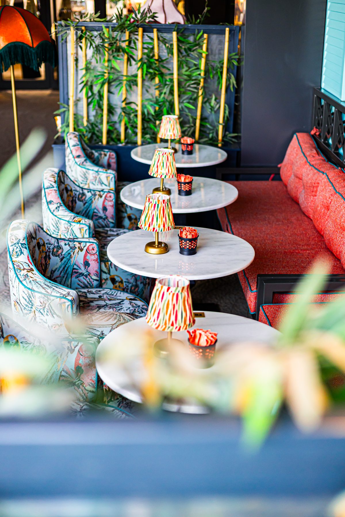 Noccasa x Le Profitti