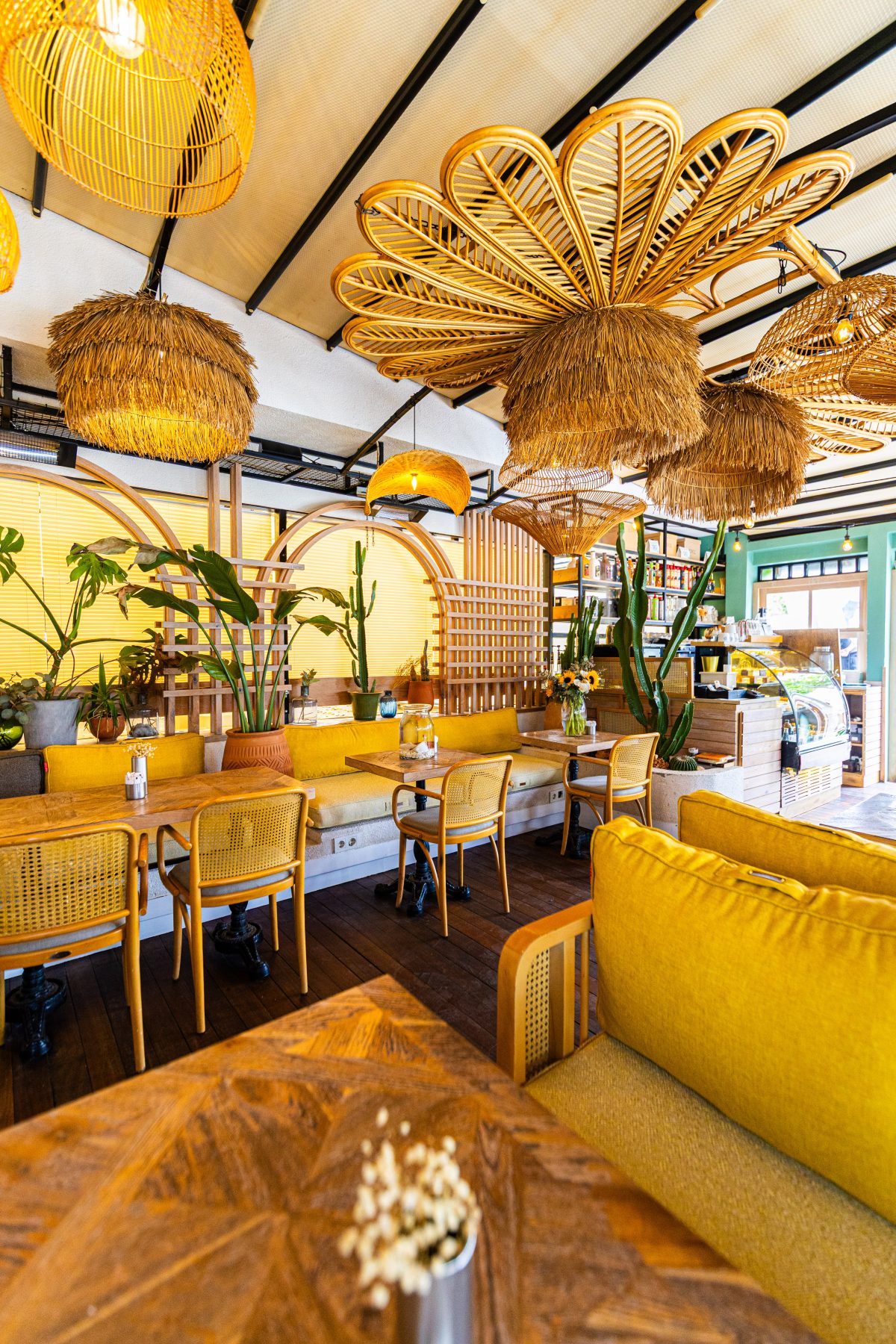 Noccasa x Petrov Coffee