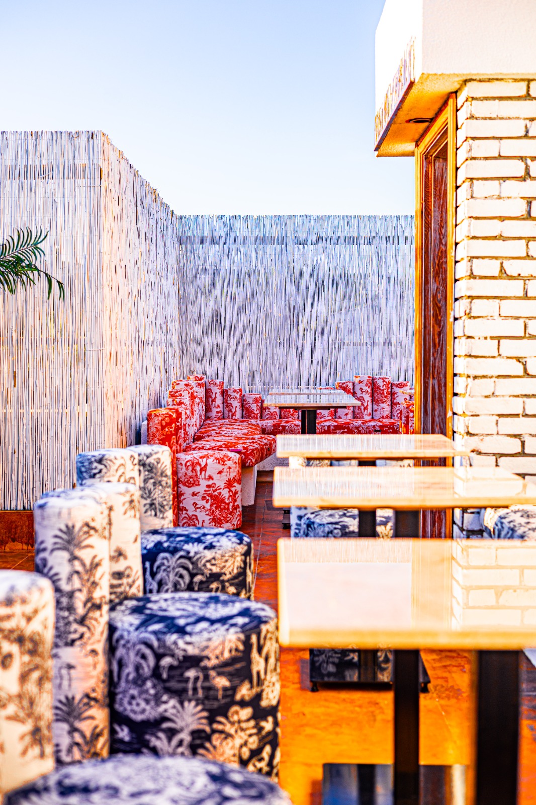 Noccasa x Tola Terace